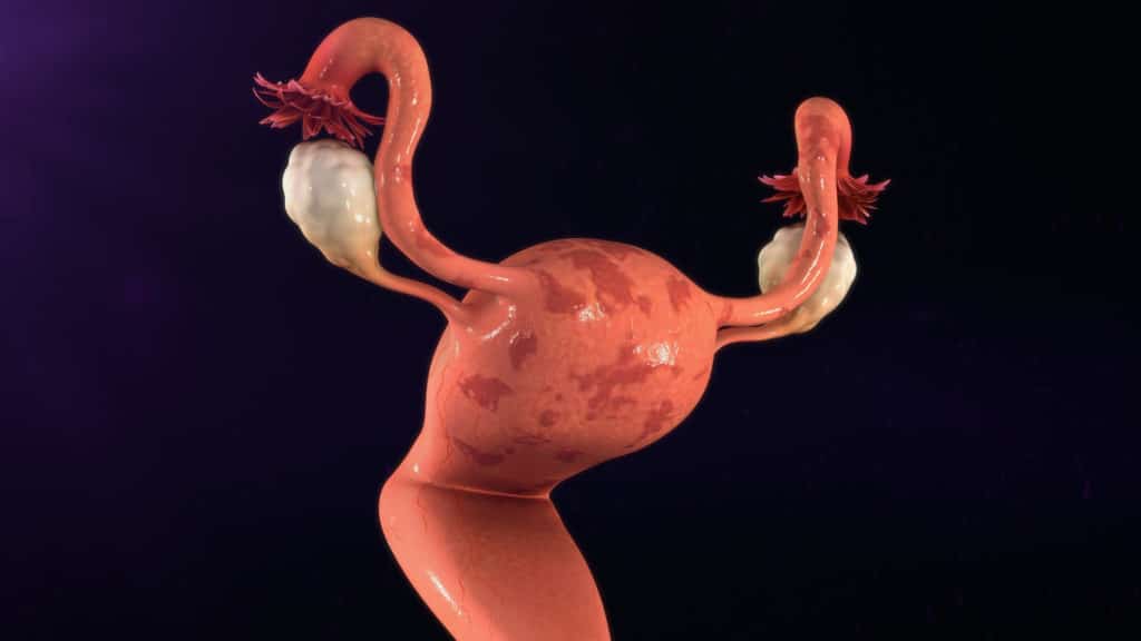 uterus normal image